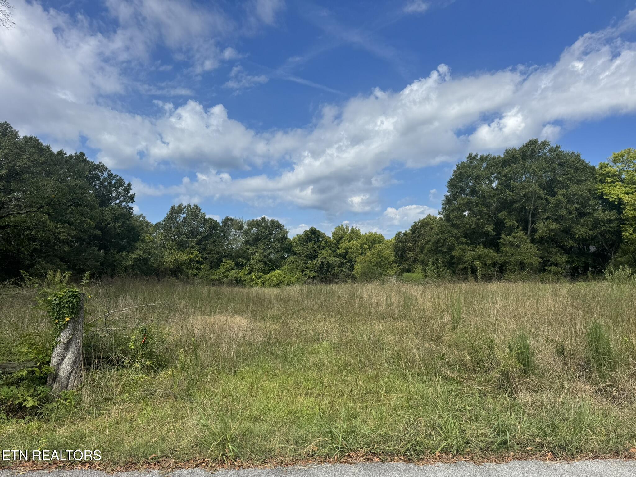 4105 Wilkesview Drive