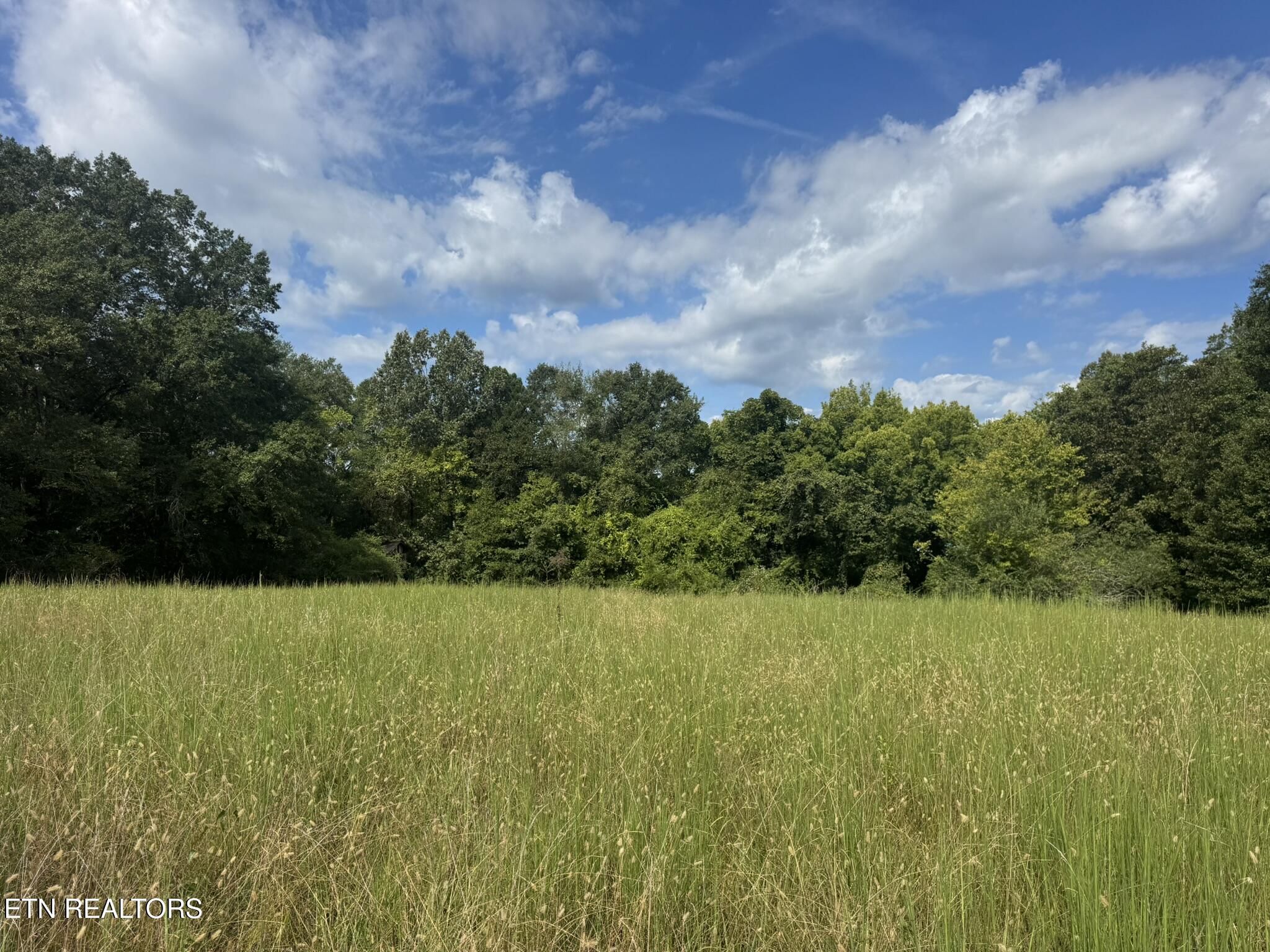 4105 Wilkesview Drive