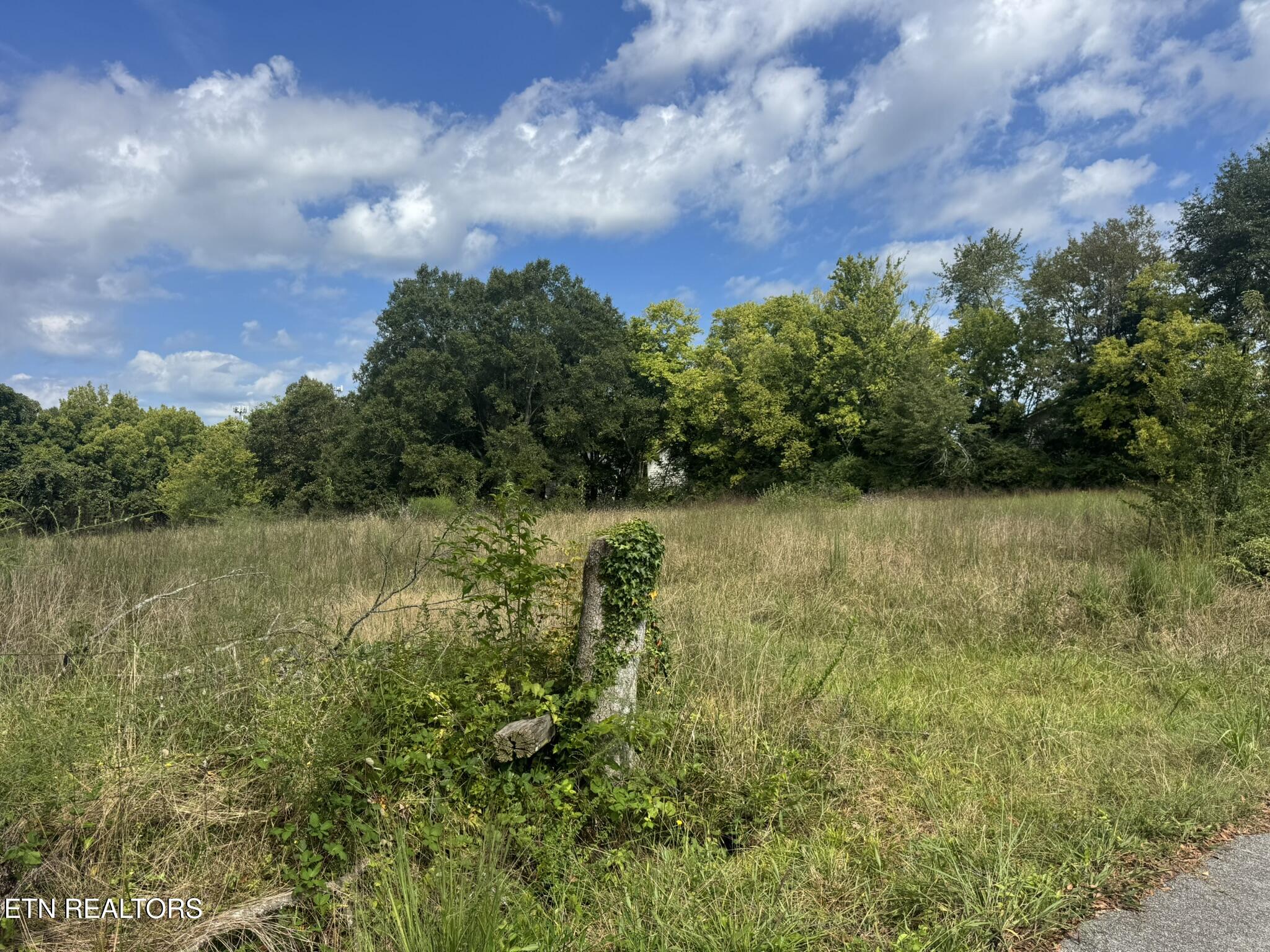 4105 Wilkesview Drive