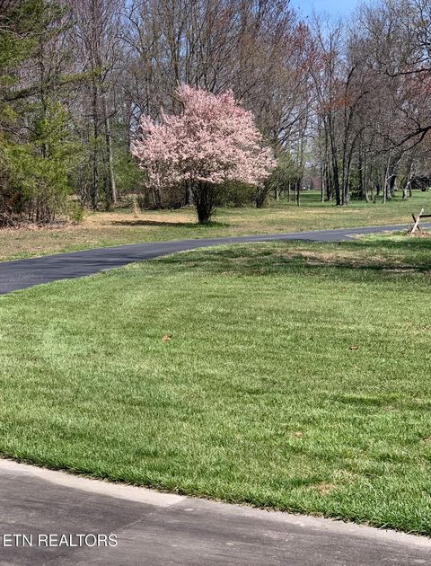 Tiny photo for 207 Drew Howard Rd, Crossville, TN 38558 (MLS # 1328380)