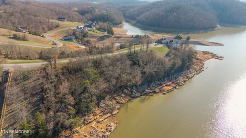 Tiny photo for 2076 Turner Landing Rd, Russellville, TN 37860 (MLS # 1331992)