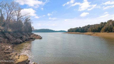 Tiny photo for 2076 Turner Landing Rd, Russellville, TN 37860 (MLS # 1331992)