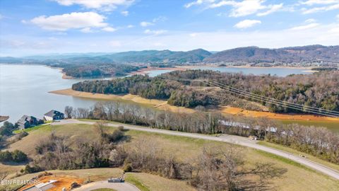 Tiny photo for 2076 Turner Landing Rd, Russellville, TN 37860 (MLS # 1331992)