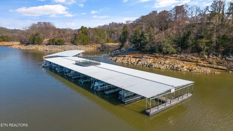 Tiny photo for 2076 Turner Landing Rd, Russellville, TN 37860 (MLS # 1331992)