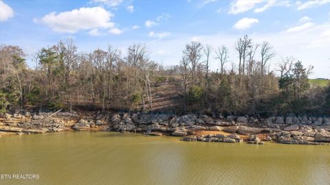 Tiny photo for 2076 Turner Landing Rd, Russellville, TN 37860 (MLS # 1331992)