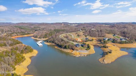 Tiny photo for 2076 Turner Landing Rd, Russellville, TN 37860 (MLS # 1331992)