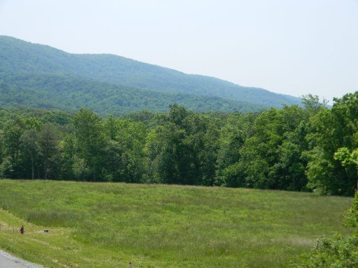 Photo 2 of 3 of Lot 1 Houston Drive land