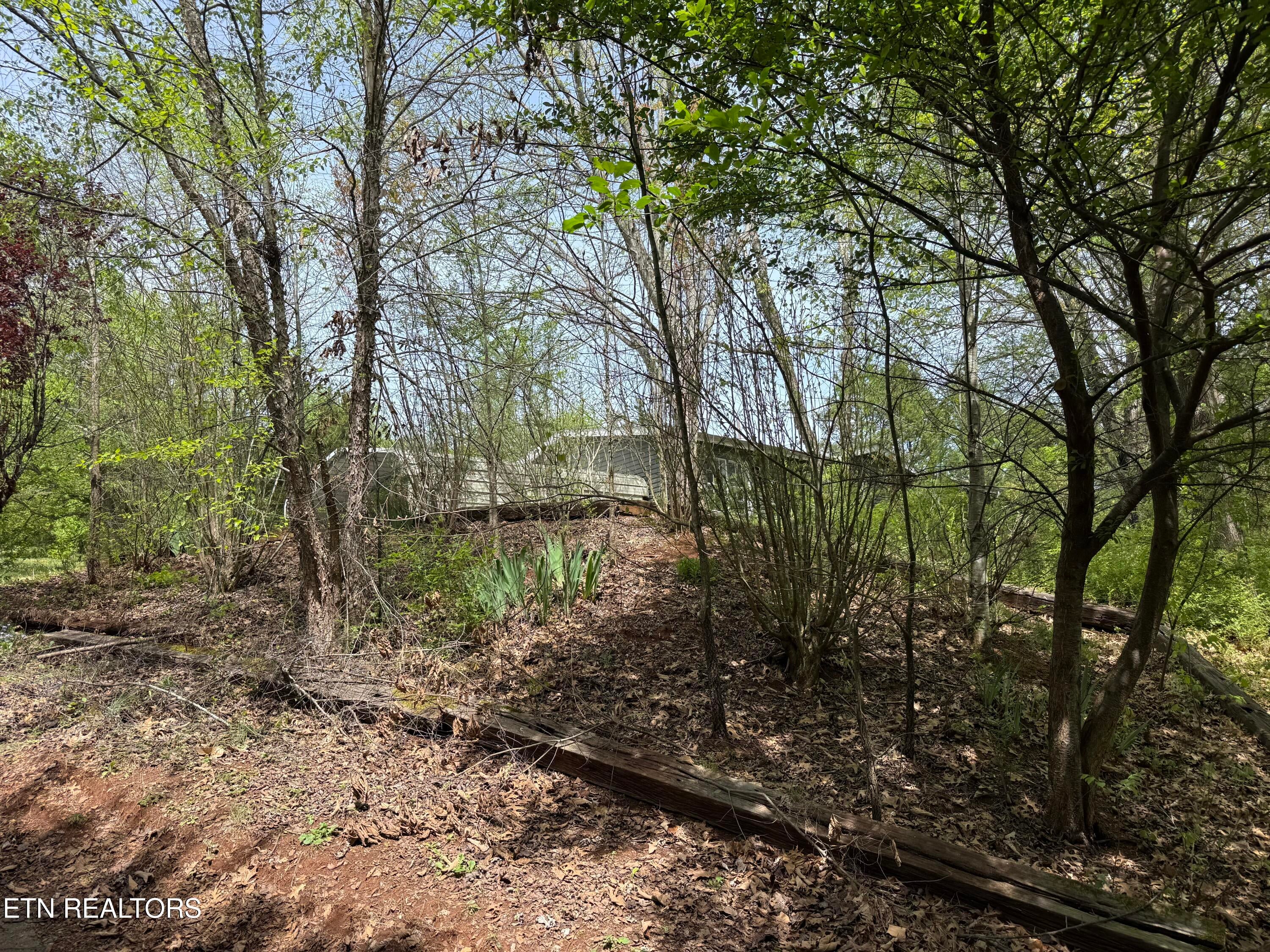 947 N Old Grey Ridge Rd