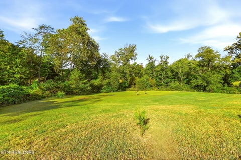 Tiny photo for 254 Orchard View Rd, Oliver Springs, TN 37840 (MLS # 1357422)