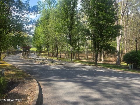 Tiny photo for Grainger Landing #Lot 59, Rutledge, TN 37861 (MLS # 1336525)
