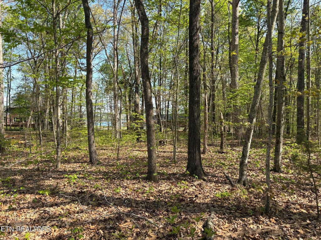 Photo of Grainger Landing #Lot 59, Rutledge, TN 37861 (MLS # 1336525)