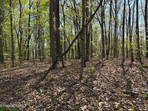 Tiny photo for Grainger Landing #Lot 59, Rutledge, TN 37861 (MLS # 1336525)