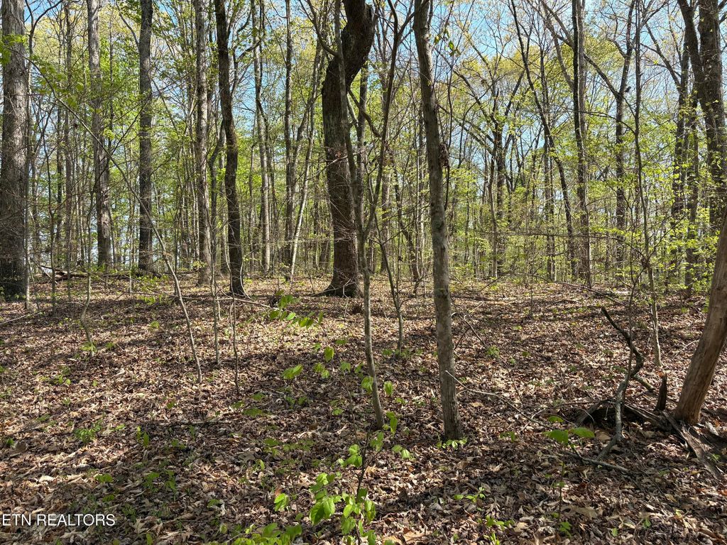 Photo of Grainger Landing #Lot 59, Rutledge, TN 37861 (MLS # 1336525)