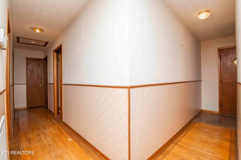 Tiny photo for 7224 Ridgeview Rd, Corryton, TN 37721 (MLS # 1319346)
