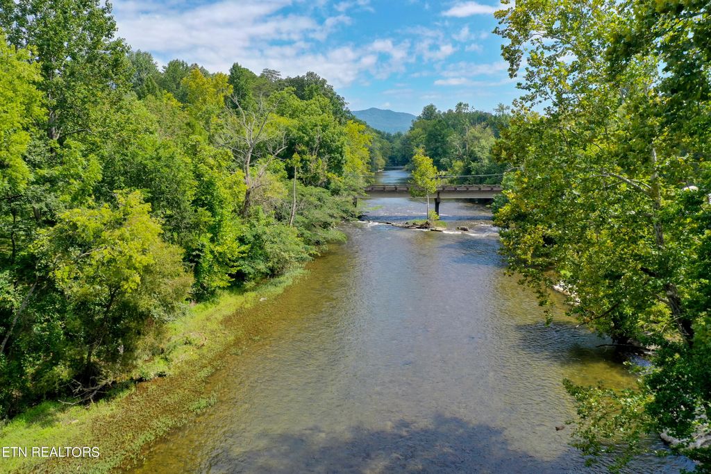 Photo of 7651 E Lamar Alexander Pkwy, Townsend, TN 37882 (MLS # 1241921)