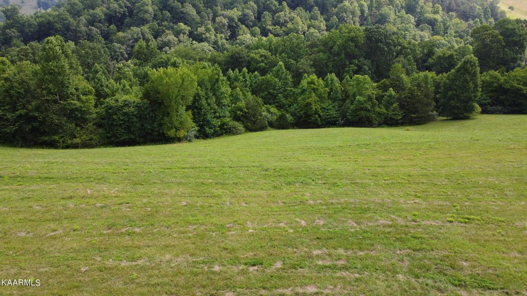 Photo of Lot 19 Smokey Quartz Blvd, New Tazewell, TN 37825 (MLS # 1231679)