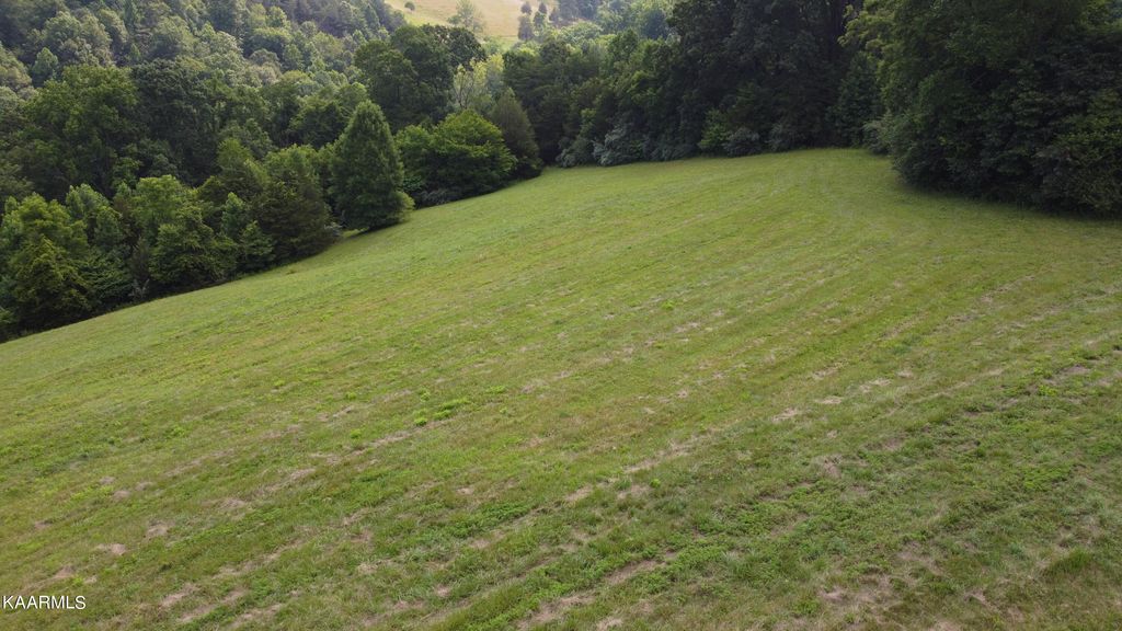 Photo of Lot 19 Smokey Quartz Blvd, New Tazewell, TN 37825 (MLS # 1231679)