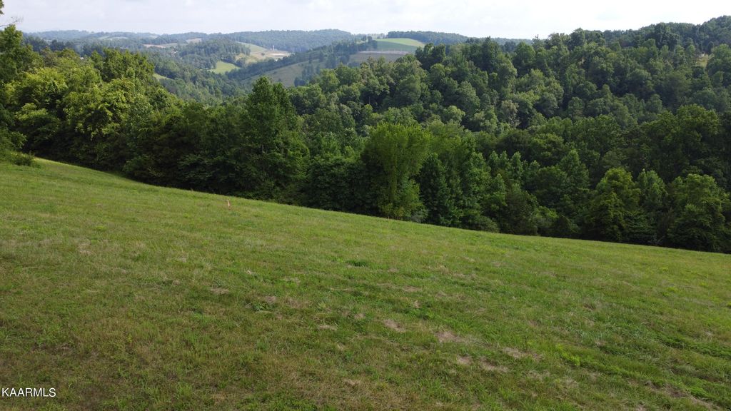 Photo of Lot 19 Smokey Quartz Blvd, New Tazewell, TN 37825 (MLS # 1231679)