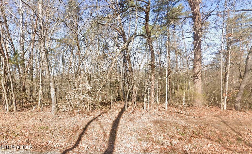 Photo of 111 Chanusi Way, Loudon, TN 37774 (MLS # 1301981)