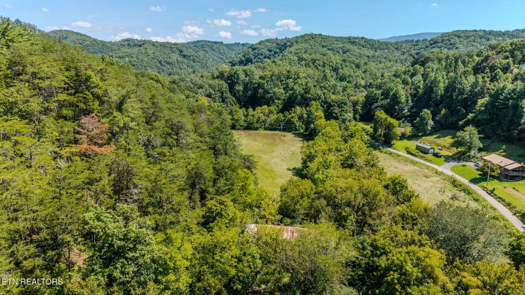 Photo of 0 Little Valley Rd, Pigeon Forge, TN 37862 (MLS # 1354227)