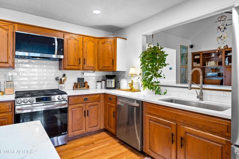 Tiny photo for 1325 Cannon Ave, Sweetwater, TN 37874 (MLS # 1327733)