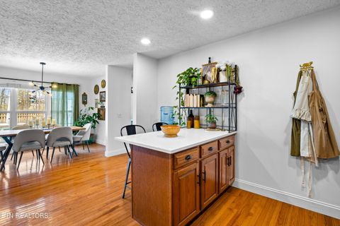 Tiny photo for 1325 Cannon Ave, Sweetwater, TN 37874 (MLS # 1327733)