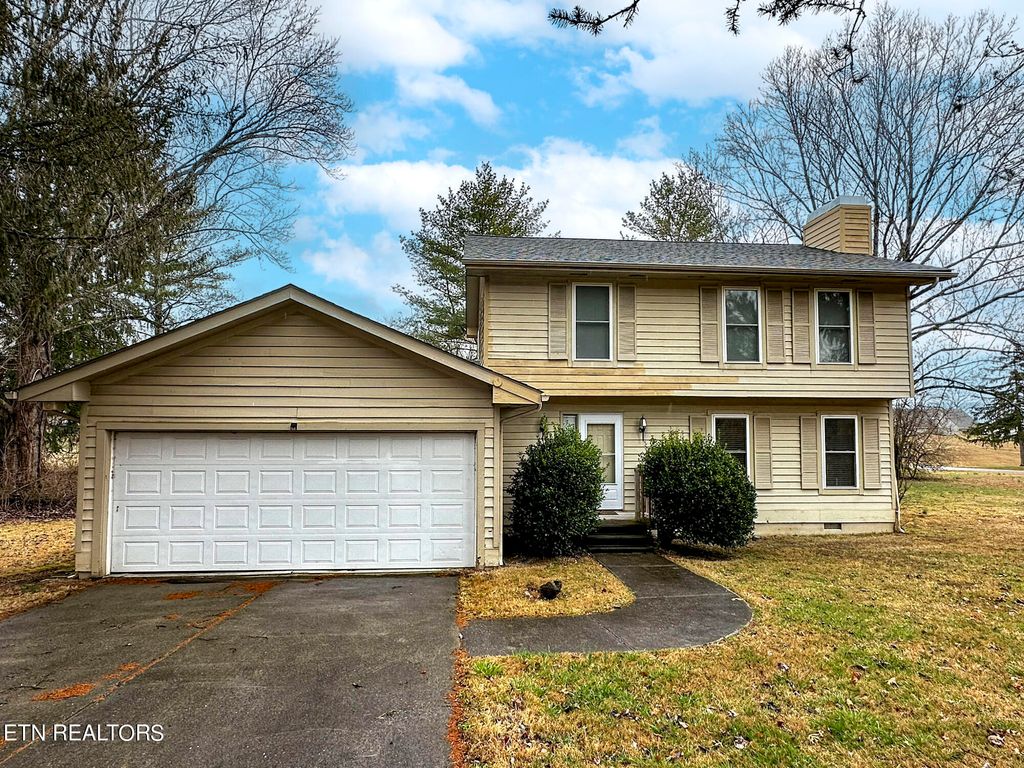 Photo of 404 Carmel Court, White Pine, TN 37890 (MLS # 1255426)