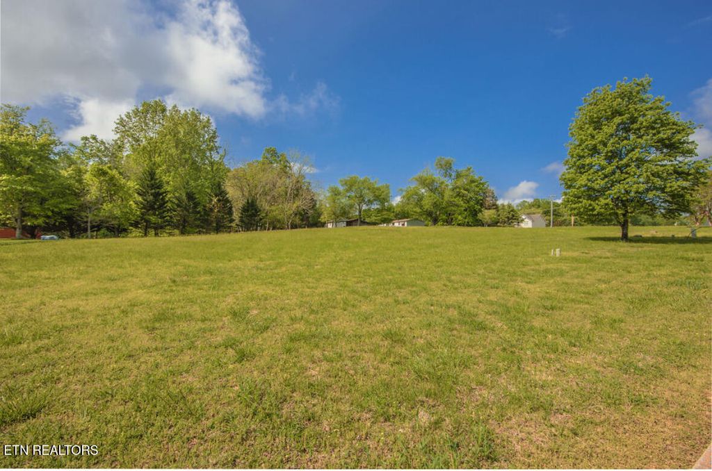 Photo of Swan Pond, Harriman, TN 37748 (MLS # 1299838)