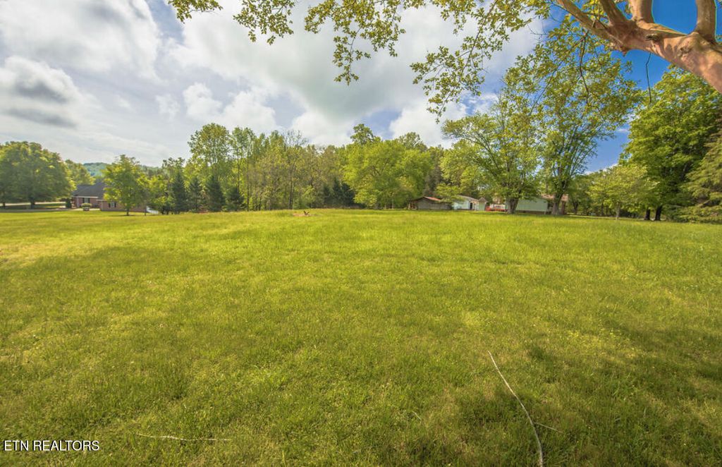 Photo of Swan Pond, Harriman, TN 37748 (MLS # 1299838)