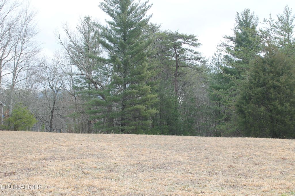 Photo of Meridian Rd, Crossville, TN 38555 (MLS # 1330546)