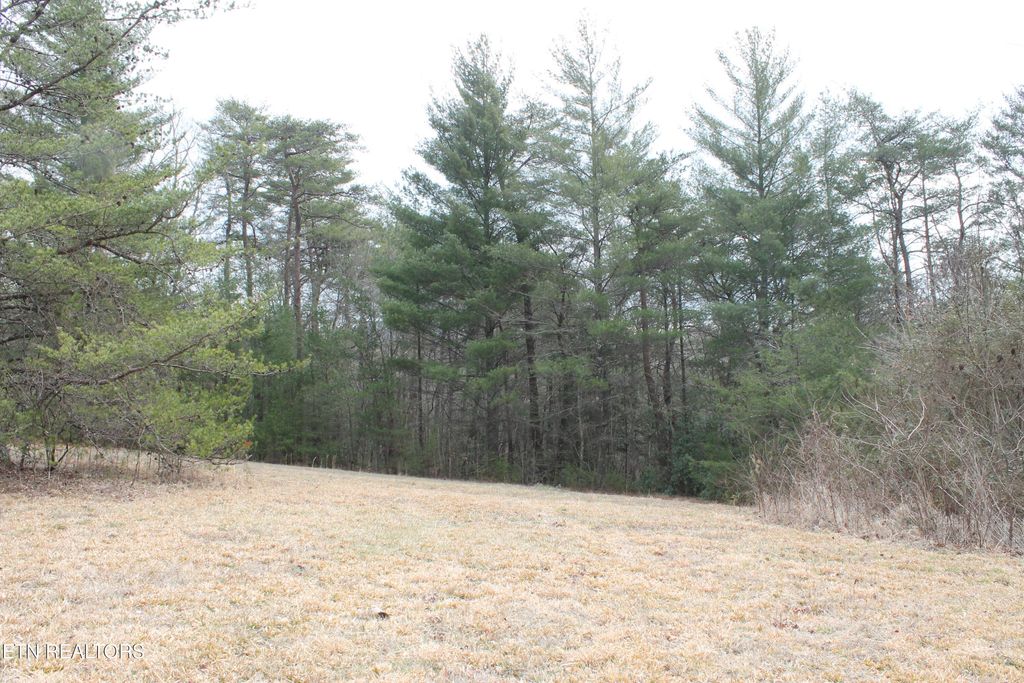 Photo of Meridian Rd, Crossville, TN 38555 (MLS # 1330546)
