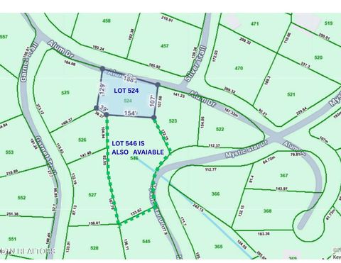 Tiny photo for Alum Dr Lot #524 Drive, New Tazewell, TN 37825 (MLS # 1323547)