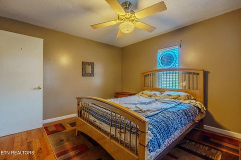 Tiny photo for 210 Last Lz Lane, Speedwell, TN 37870 (MLS # 1327301)