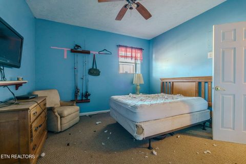 Tiny photo for 210 Last Lz Lane, Speedwell, TN 37870 (MLS # 1327301)