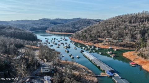 Tiny photo for 210 Last Lz Lane, Speedwell, TN 37870 (MLS # 1327301)