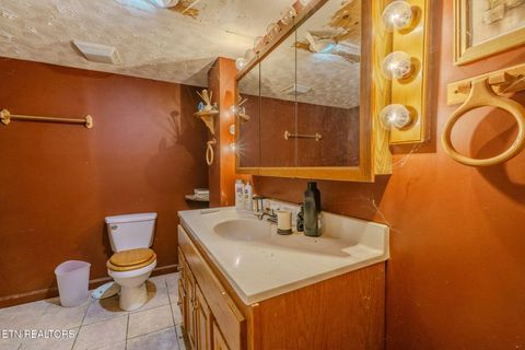 Tiny photo for 210 Last Lz Lane, Speedwell, TN 37870 (MLS # 1327301)