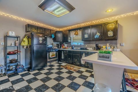 Tiny photo for 210 Last Lz Lane, Speedwell, TN 37870 (MLS # 1327301)