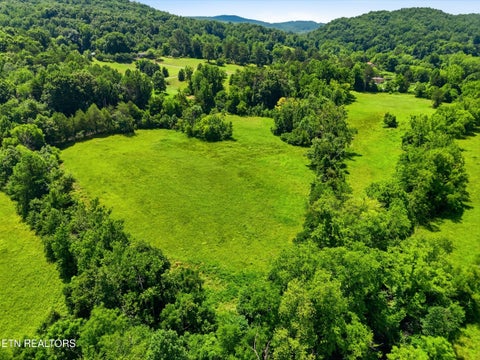 Tiny photo for 813 Ward Rd, Decatur, TN 37322 (MLS # 1348062)