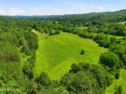 Tiny photo for 813 Ward Rd, Decatur, TN 37322 (MLS # 1348062)