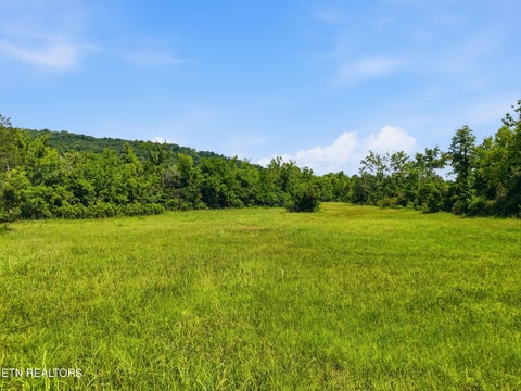 Tiny photo for 813 Ward Rd, Decatur, TN 37322 (MLS # 1348062)