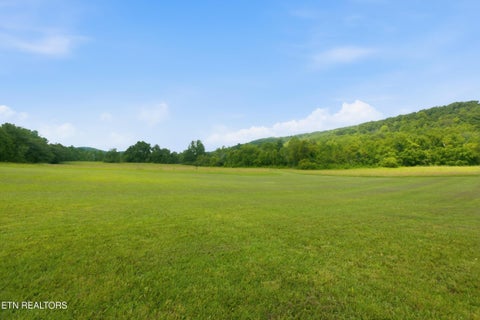 Tiny photo for 813 Ward Rd, Decatur, TN 37322 (MLS # 1348062)