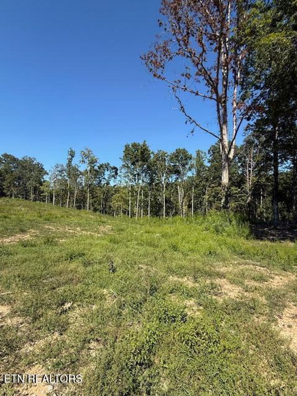 Photo of 11150 Blackberry Forest Way, Knoxville, TN 37931 (MLS # 1313805)