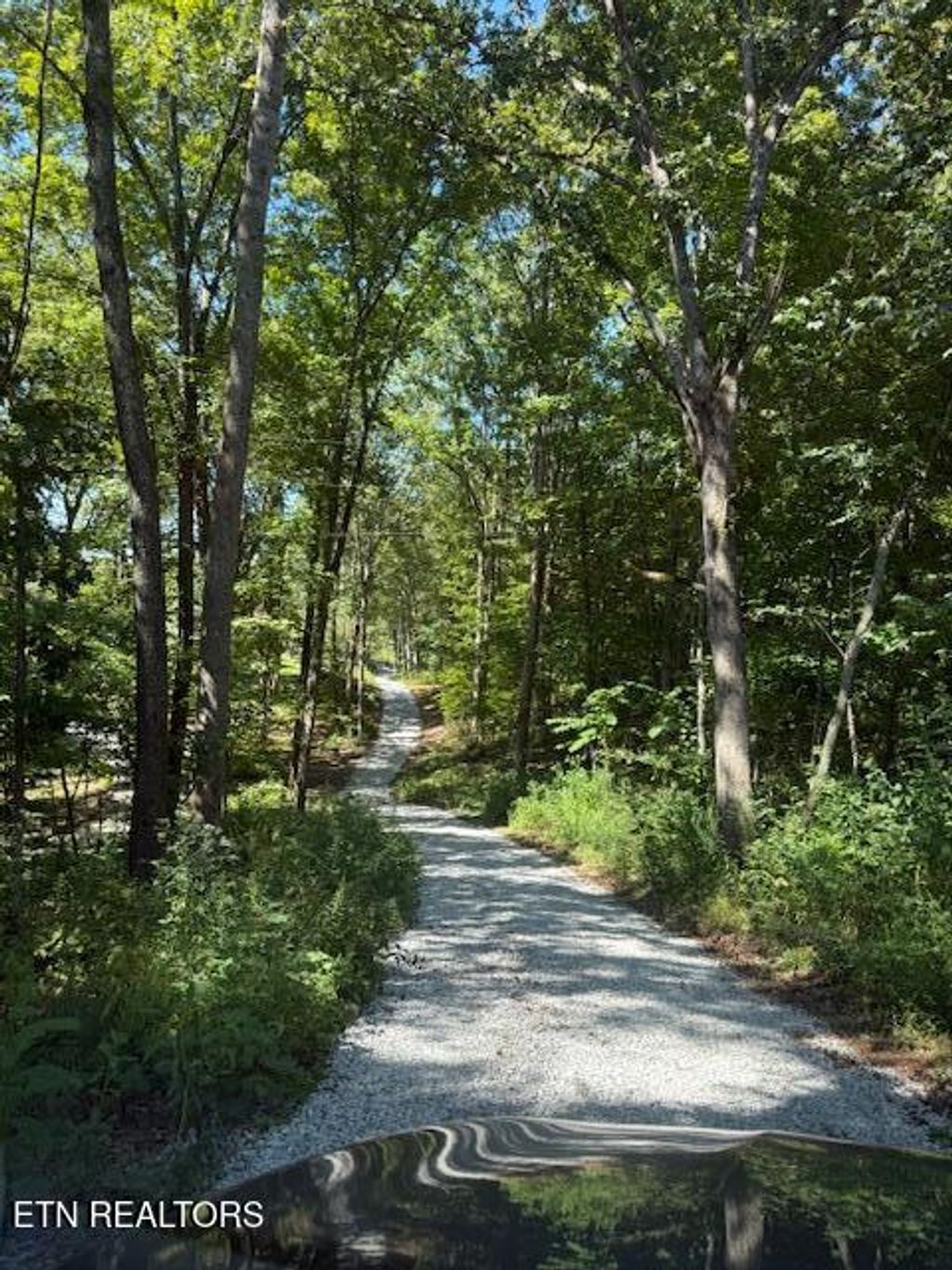 Photo of 11150 Blackberry Forest Way, Knoxville, TN 37931 (MLS # 1313805)