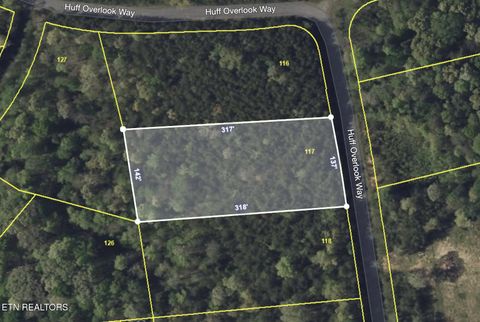 Tiny photo for Lot 117 Huff Overlook Way, Del Rio, TN 37727 (MLS # 1311437)