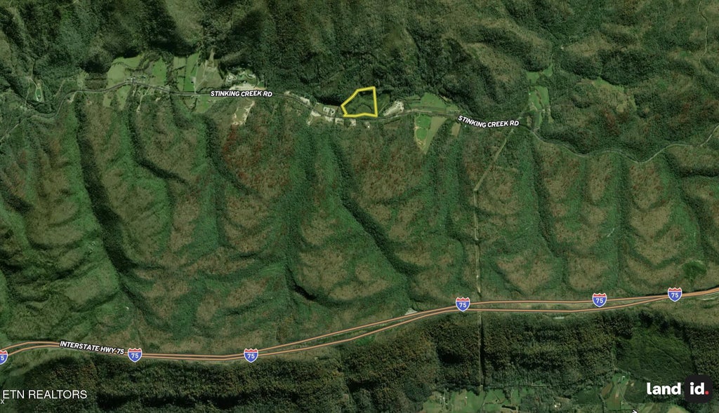 Photo of 6797 Stinking Creek Rd, Pioneer, TN 37847 (MLS # 1359594)
