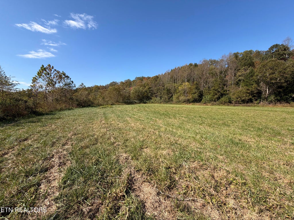 Photo of 6797 Stinking Creek Rd, Pioneer, TN 37847 (MLS # 1359594)