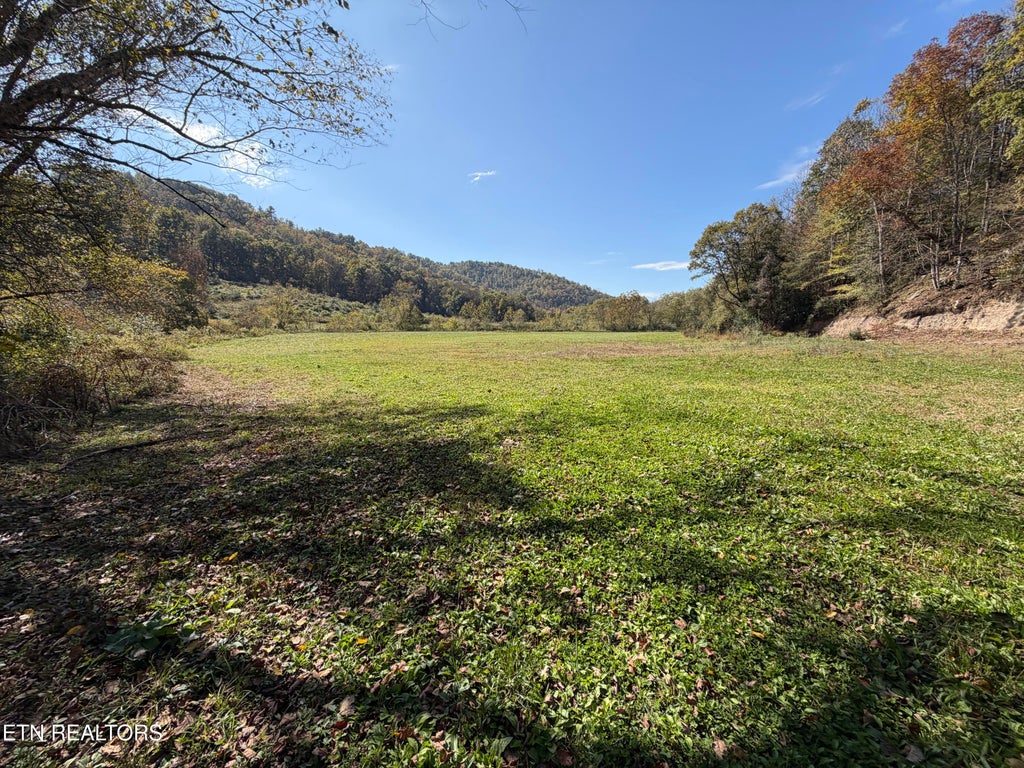 Photo of 6797 Stinking Creek Rd, Pioneer, TN 37847 (MLS # 1359594)