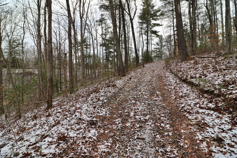 Tiny photo for 3063 Leatherwood Rd, Oneida, TN 37841 (MLS # 1327999)