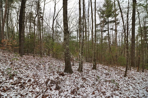Tiny photo for 3063 Leatherwood Rd, Oneida, TN 37841 (MLS # 1327999)