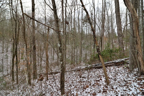 Tiny photo for 3063 Leatherwood Rd, Oneida, TN 37841 (MLS # 1327999)